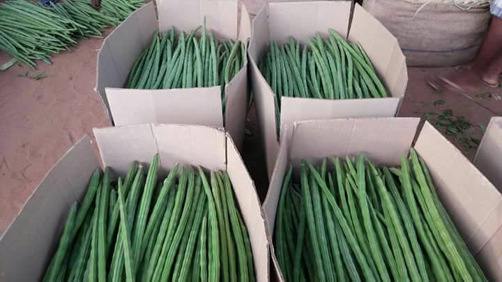 Drumsticks packaging