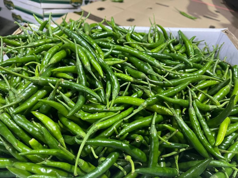 Green chilli packaging