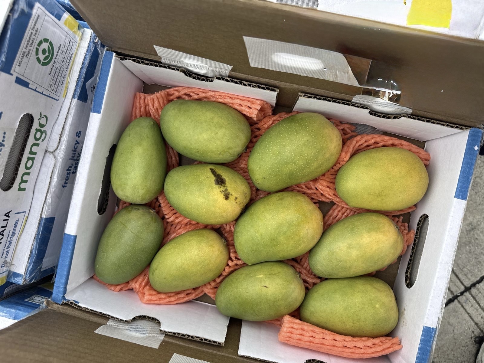 Mango boxes