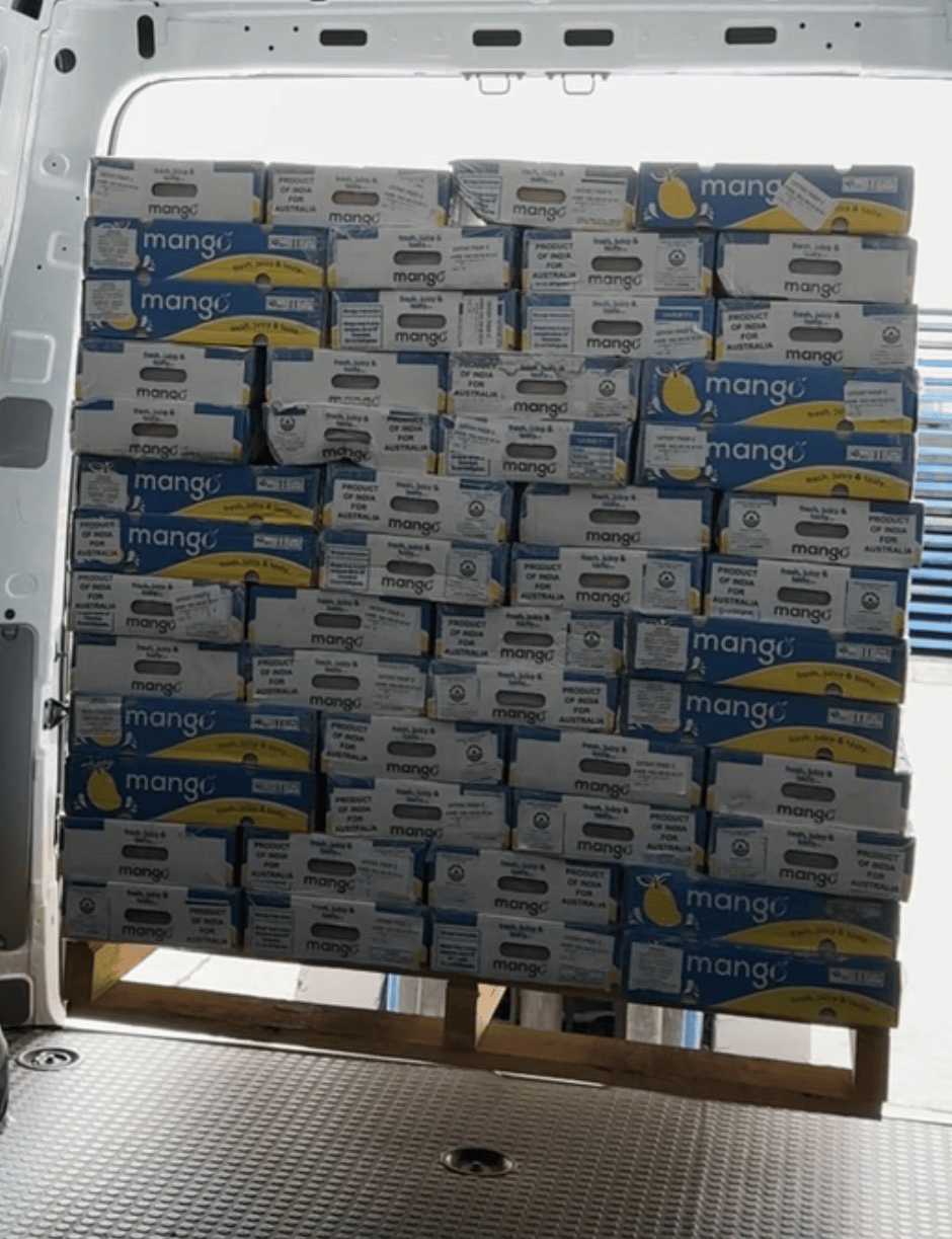 Mango pallet loading